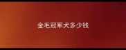 金毛冠军犬多少钱