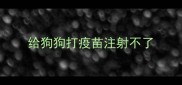 给狗狗打疫苗注射不了