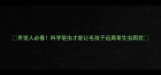 养宠人必看科学驱虫才能让毛孩子远离寄生虫困扰