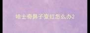 哈士奇鼻子变红怎么办