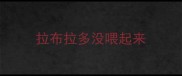 拉布拉多没喂起来