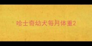 哈士奇幼犬每月体重