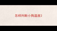 怎样判断小狗温度