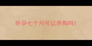 怀孕七个月可以养狗吗