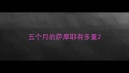 五个月的萨摩耶有多重