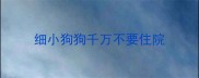 细小狗狗千万不要住院