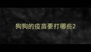 狗狗的疫苗要打哪些