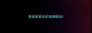 离我家最近的宠物医院