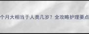 高加索幼犬3个月大相当于人类几岁全攻略护理要点与成长阶段