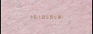 小狗卡到东西咳嗽