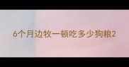 6个月边牧一顿吃多少狗粮