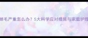 金毛掉毛严重怎么办5大科学应对措施与家庭护理指南
