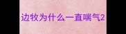 边牧为什么一直喘气
