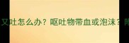 边境牧羊犬吐了又吐怎么办呕吐物带血或泡沫附详细应对指南