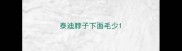 泰迪脖子下面毛少