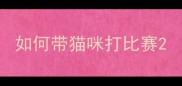 如何带猫咪打比赛