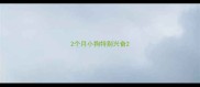 2个月小狗特别兴奋