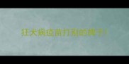 狂犬病疫苗打别的牌子