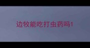 边牧能吃打虫药吗