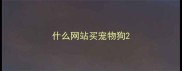 什么网站买宠物狗