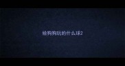 给狗狗玩的什么球