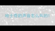 哈士奇的声音怎么叫的