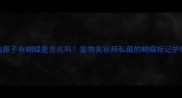 狗狗鼻子有蝴蝶是吉兆吗宠物美容师私藏的蝴蝶标记护理法