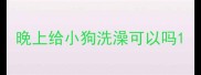 晚上给小狗洗澡可以吗