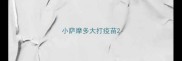 小萨摩多大打疫苗