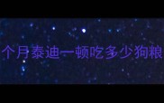 5个月泰迪一顿吃多少狗粮
