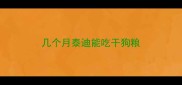 几个月泰迪能吃干狗粮