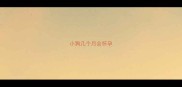 小狗几个月会怀孕