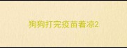 狗狗打完疫苗着凉