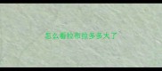 怎么看拉布拉多多大了