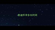 泰迪怀孕多长时间