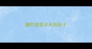 猫打疫苗半天拉肚子