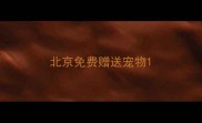 北京免费赠送宠物