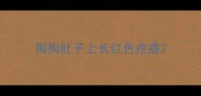狗狗肚子上长红色疙瘩