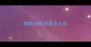 狗狗流眼泪是怎么治