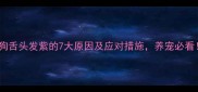 狗狗舌头发紫的7大原因及应对措施养宠必看