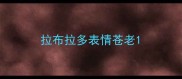 拉布拉多表情苍老