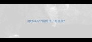 边牧和其它狗的爪子的区别