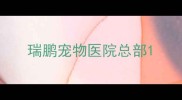 瑞鹏宠物医院总部
