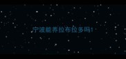 宁波能养拉布拉多吗