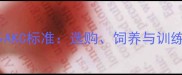 拉布拉多AKC标准选购饲养与训练全指南