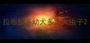 拉布拉多幼犬多大大虫子