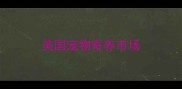 美国宠物寄养市场