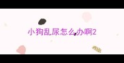 小狗乱尿怎么办啊