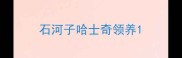 石河子哈士奇领养