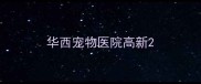 华西宠物医院高新